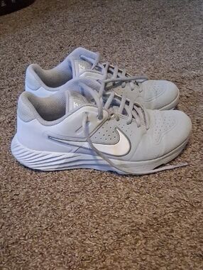 Nike Gray Low-Top Training Sneakers with White Swoosh